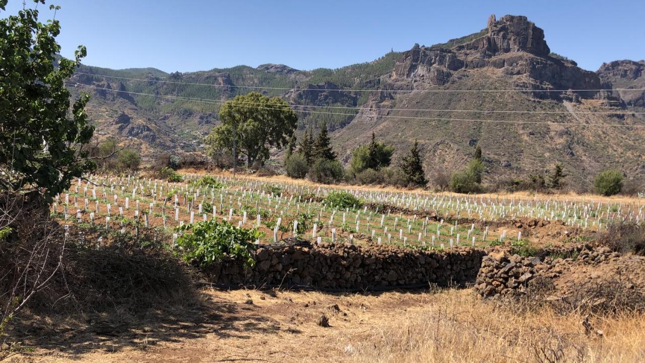 Casa-Finca El Maipez De Tejeda لاس بالماس دي غران كاناريا المظهر الخارجي الصورة