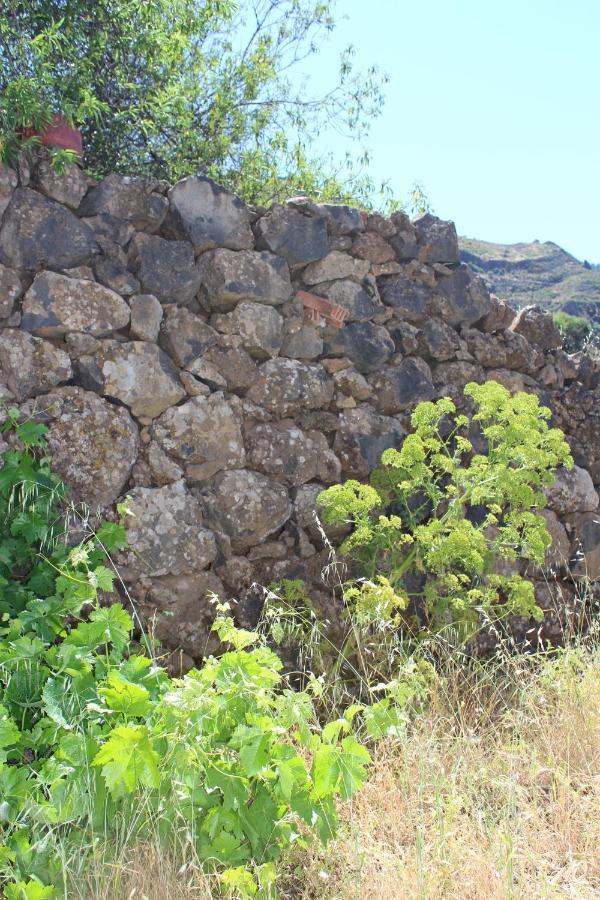 Casa-Finca El Maipez De Tejeda لاس بالماس دي غران كاناريا المظهر الخارجي الصورة