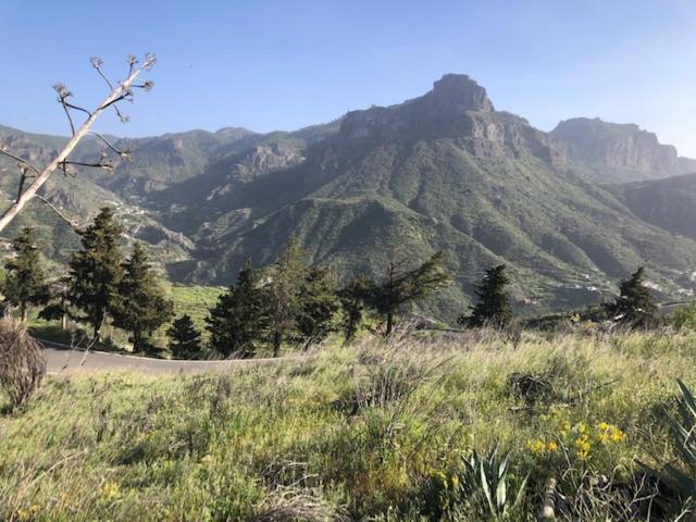Casa-Finca El Maipez De Tejeda لاس بالماس دي غران كاناريا المظهر الخارجي الصورة