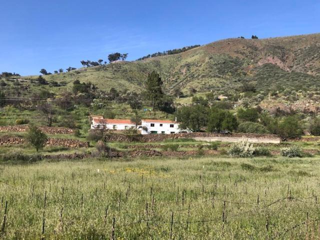 Casa-Finca El Maipez De Tejeda لاس بالماس دي غران كاناريا المظهر الخارجي الصورة