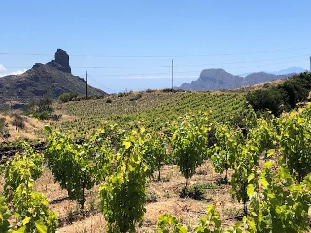Casa-Finca El Maipez De Tejeda لاس بالماس دي غران كاناريا المظهر الخارجي الصورة