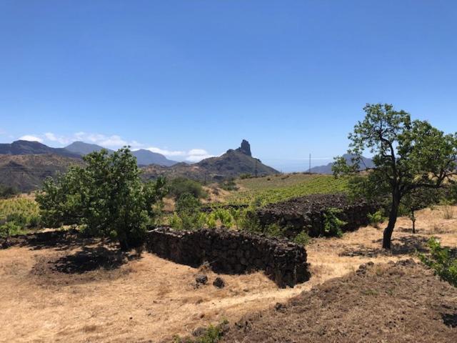 Casa-Finca El Maipez De Tejeda لاس بالماس دي غران كاناريا المظهر الخارجي الصورة