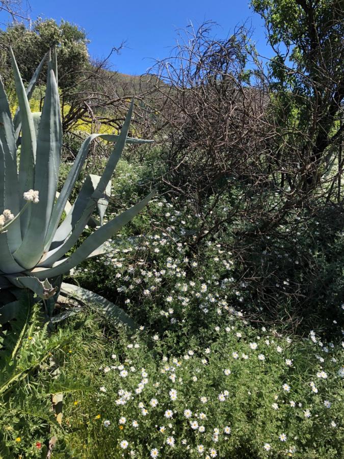 Casa-Finca El Maipez De Tejeda لاس بالماس دي غران كاناريا المظهر الخارجي الصورة