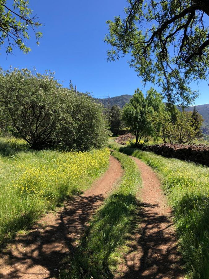 Casa-Finca El Maipez De Tejeda لاس بالماس دي غران كاناريا المظهر الخارجي الصورة